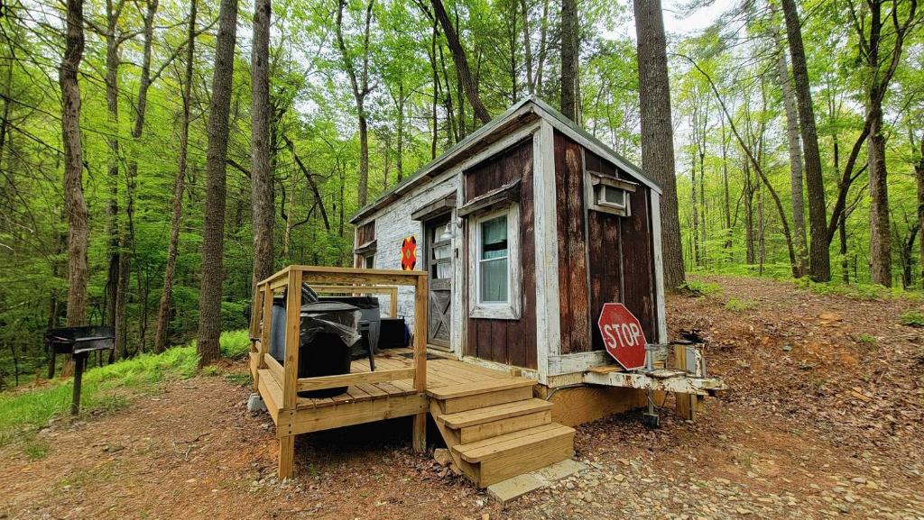 Pet-Friendly Tiny Home Rental in the Chattahoochee National Forest, for ...