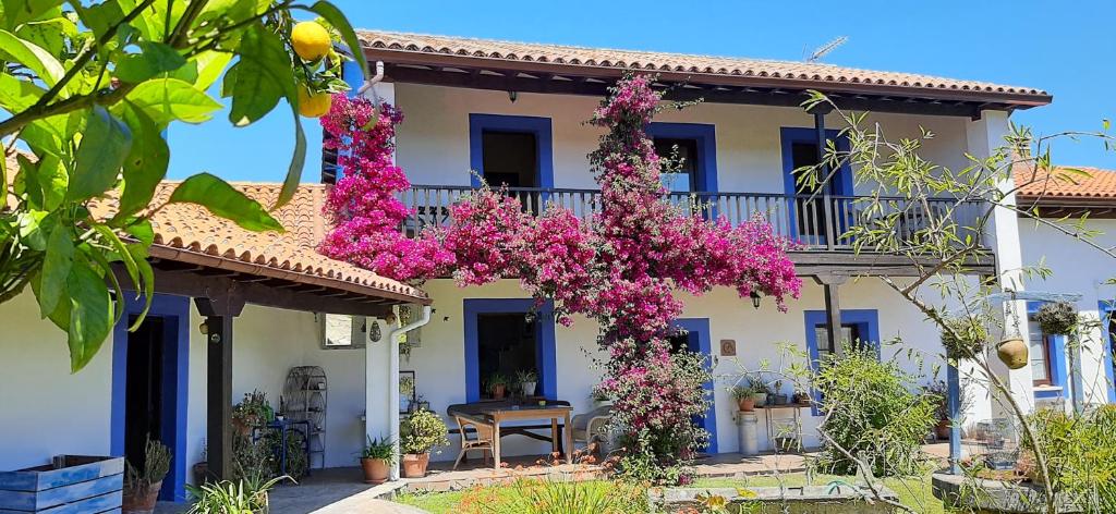 Κήπος έξω από το Casa Rural La Cerra