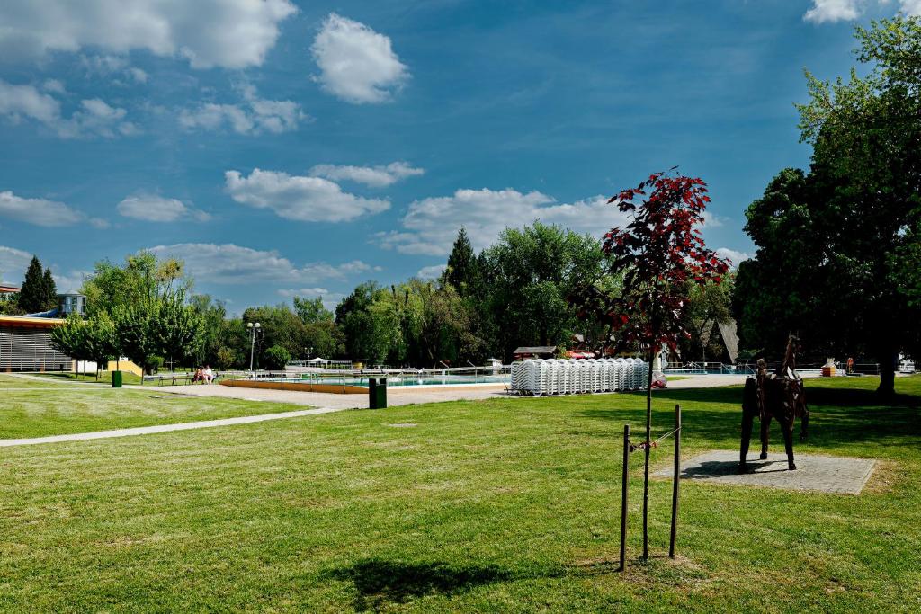 Zahrada ubytování Villa Oliver Lenti