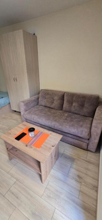 a living room with a couch and a coffee table at Apartaman Ana 5 in Kravlja
