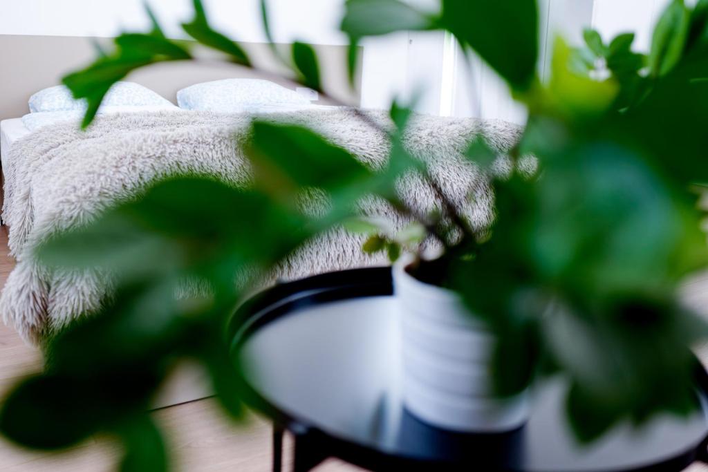 Fotografie z fotogalerie ubytování Villa Oliver Lenti v destinaci Lenti