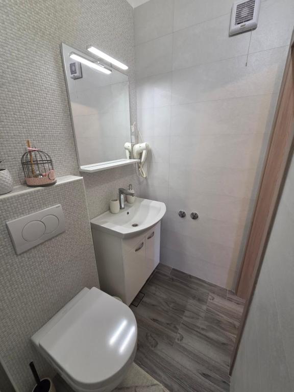 Koupelna v ubytování Apartments & Rooms Nensi