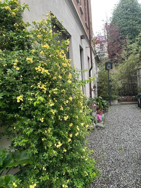 Vonkajšia záhrada v ubytovaní Loft Crimea con patio