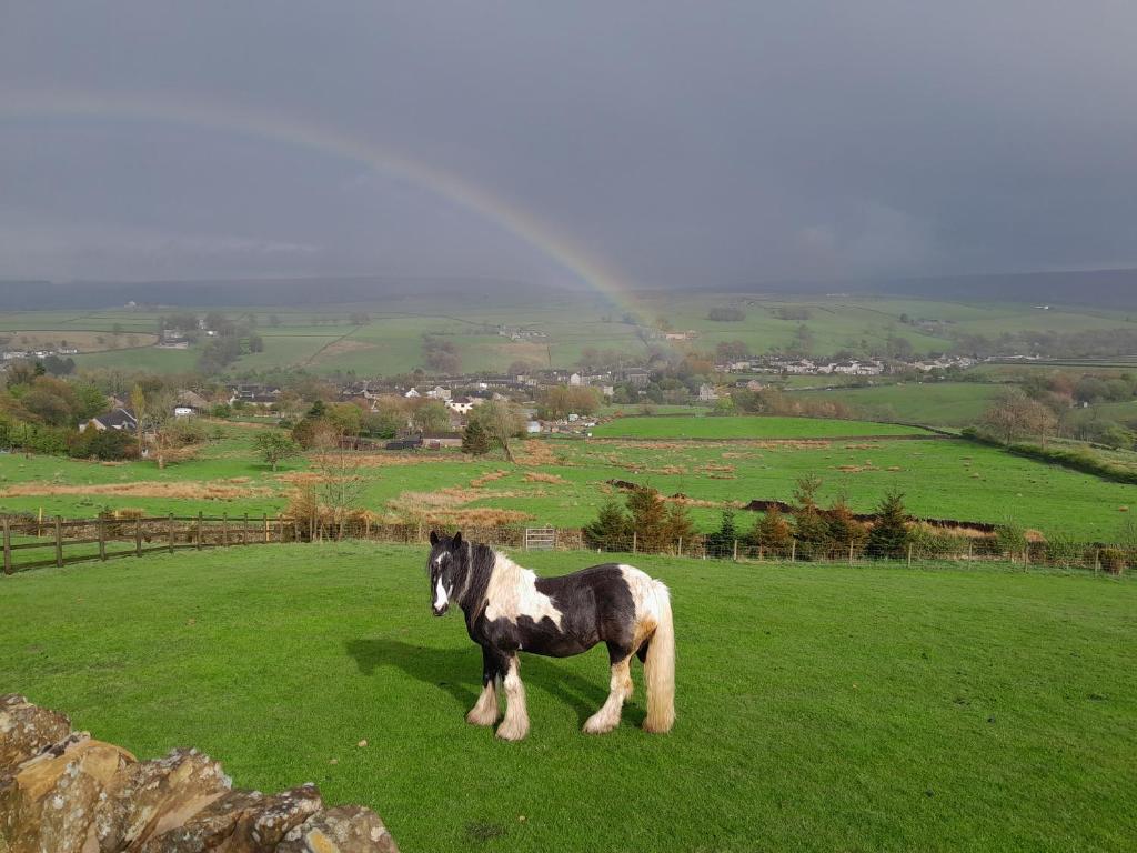 The Croft Holiday Cottage - AA Accredited, Country Cottage - Casa Con 2 Camere Da Letto