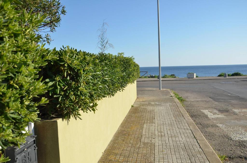 Príroda v okolí vily