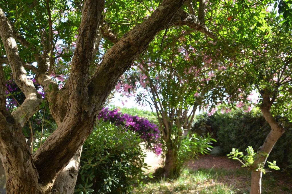 Vonkajšia záhrada v ubytovaní FANTASTIC SARDINIA VILLETTE CON GIARDINO Fronte Mare Fertilia FAHO-GAV01-GAV02