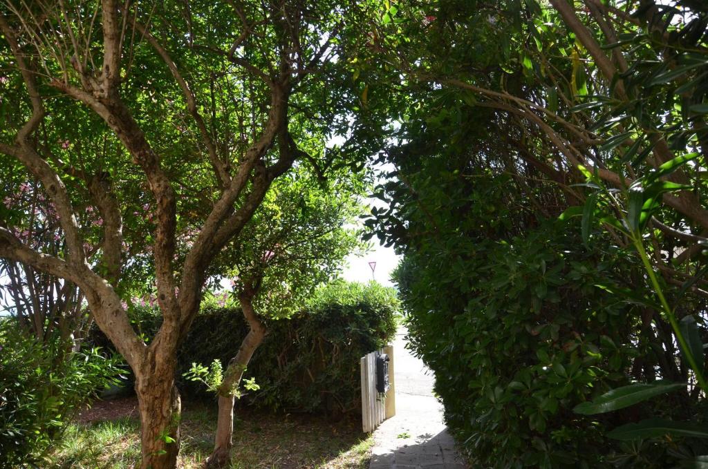 Vonkajšia záhrada v ubytovaní FANTASTIC SARDINIA VILLETTE CON GIARDINO Fronte Mare Fertilia FAHO-GAV01-GAV02