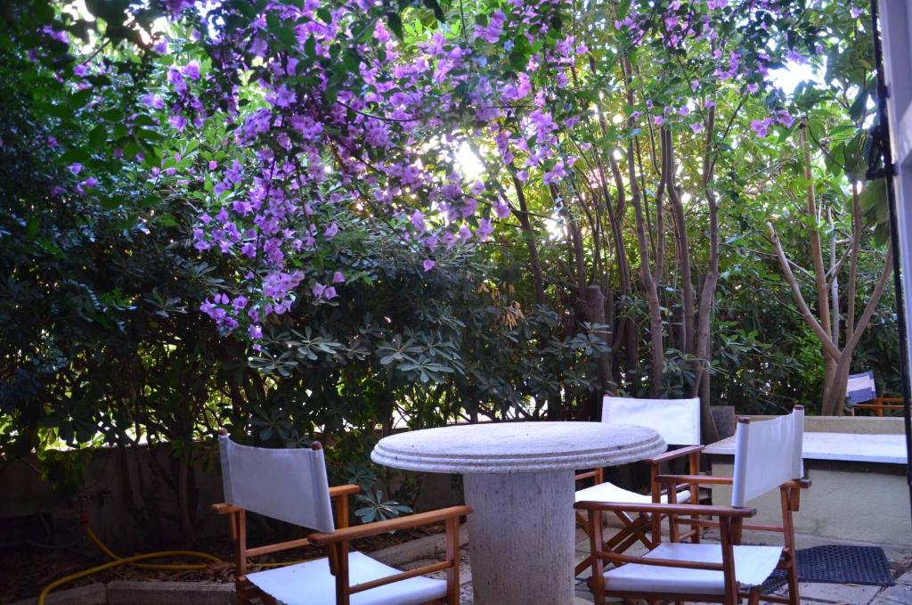 Vonkajšia záhrada v ubytovaní FANTASTIC SARDINIA VILLETTE CON GIARDINO Fronte Mare Fertilia FAHO-GAV01-GAV02
