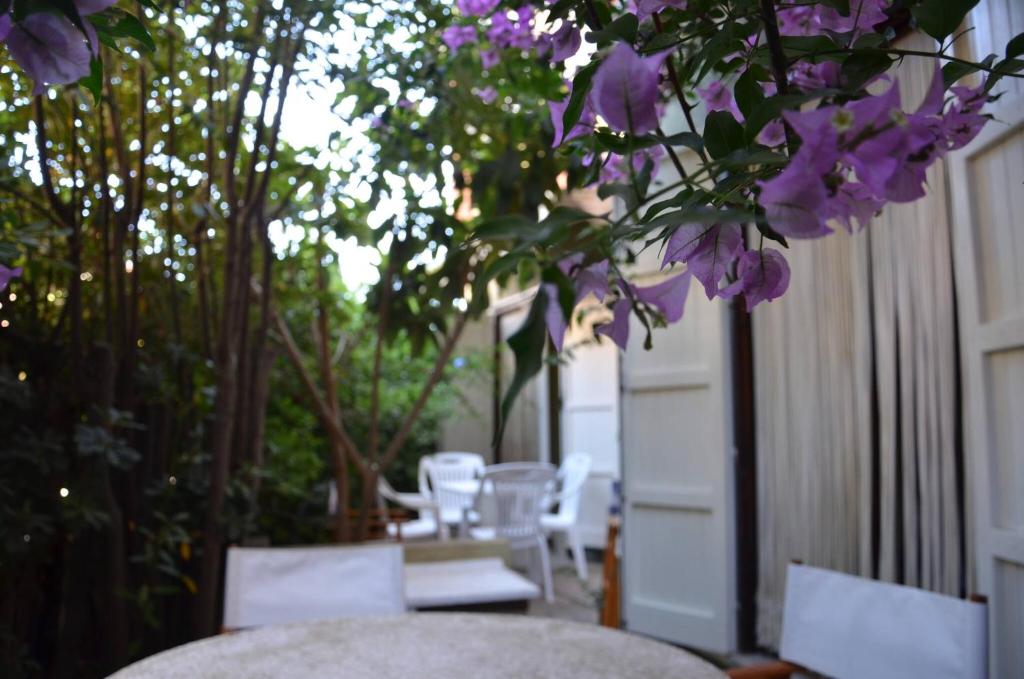 Vonkajšia záhrada v ubytovaní FANTASTIC SARDINIA VILLETTE CON GIARDINO Fronte Mare Fertilia FAHO-GAV01-GAV02