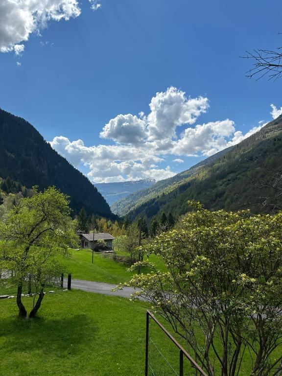 a view of a field with trees and a road at Rustico Cascina Val Malvaglia in Malvaglia