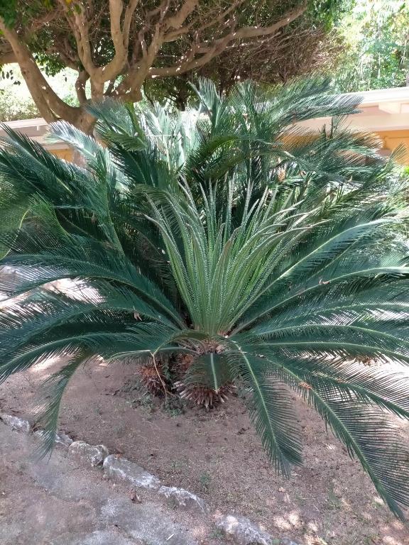 Villaggio Athragon