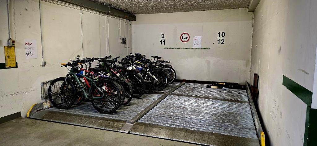 Jízda na kole v ubytování MEA HOTEL TRIER nebo okolí