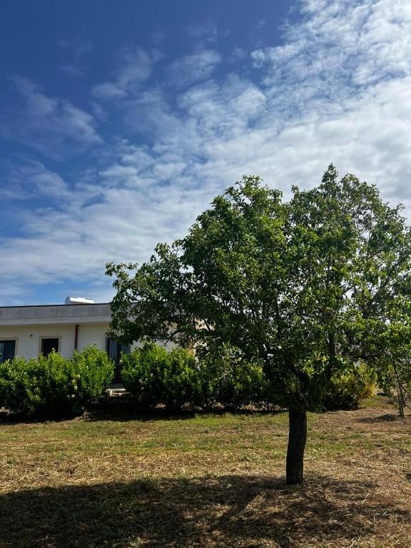 Zahrada ubytování Agriturismo Molle