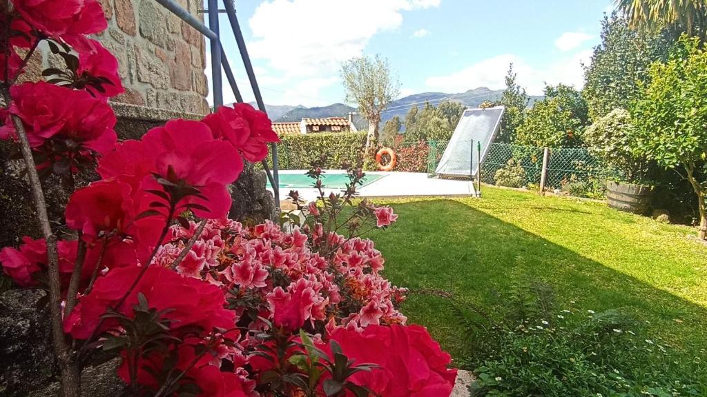 Zahrada ubytování Casa da Lage - Piscina privada - Gerês