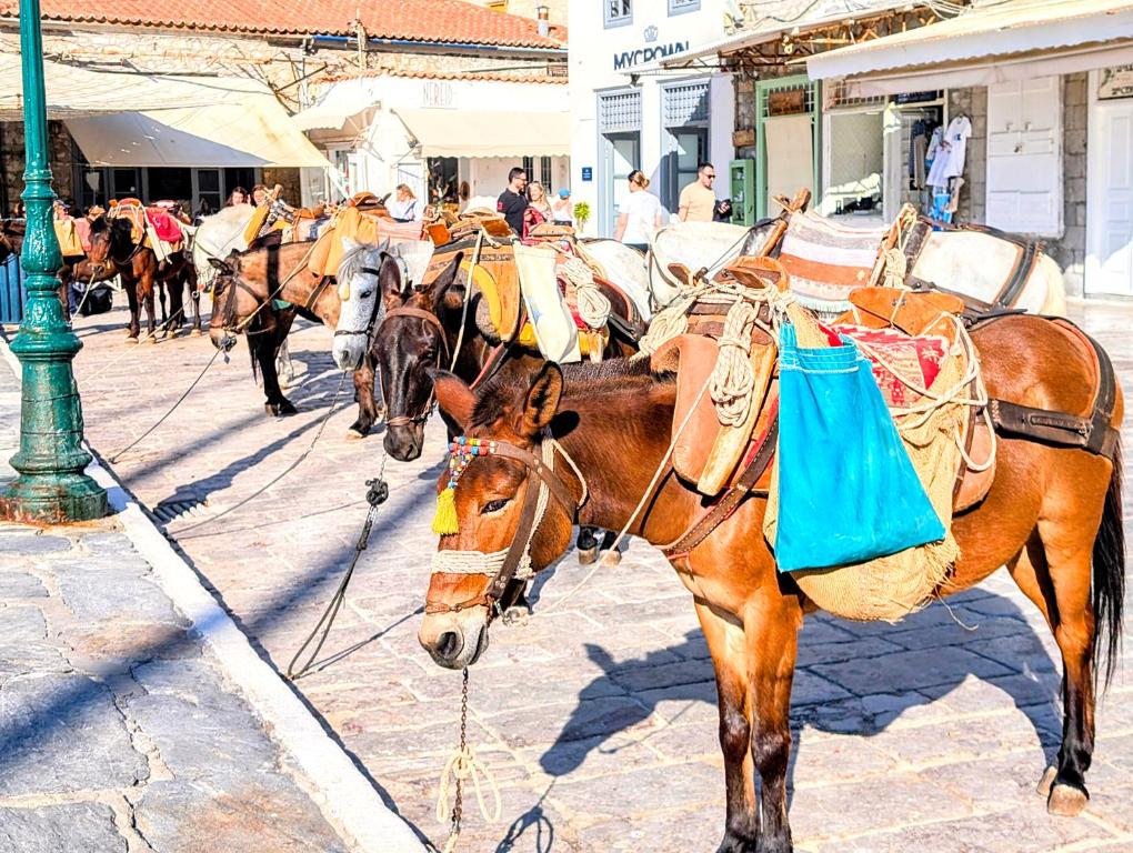 Jízda na koni v prázdninového domu nebo okolí