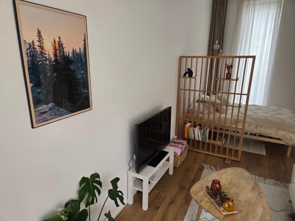 TV a/nebo společenská místnost v ubytování Le Refuge de Franchimont