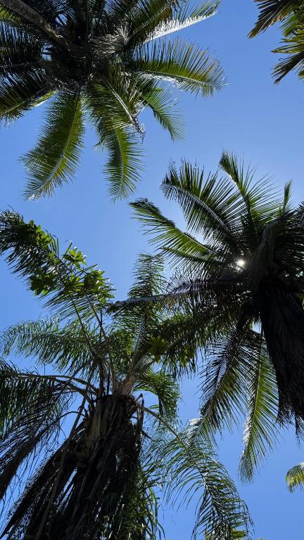 Fotografie z fotogalerie ubytování Plaza Tucanito v destinaci Cahuita