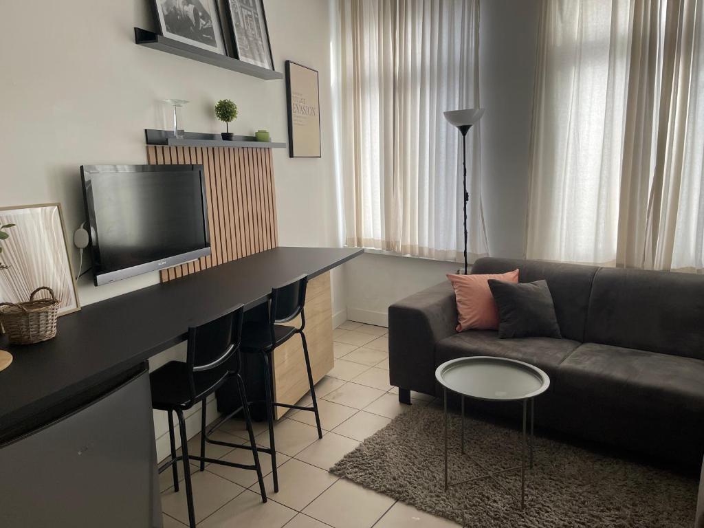 TV a/nebo společenská místnost v ubytování Private studio in Antwerp