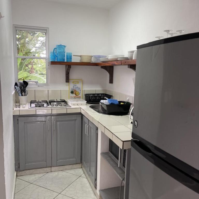 Kuchyň nebo kuchyňský kout v ubytování HUMMINGBIRD CABARETE