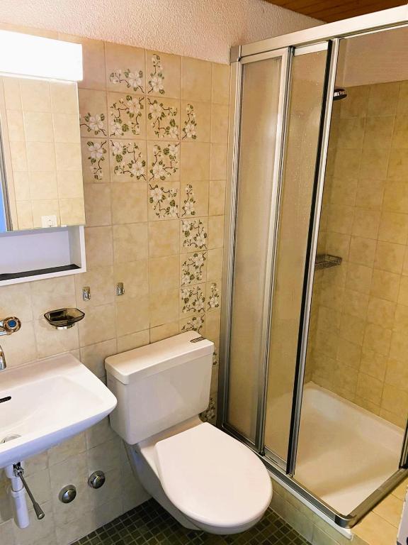 Large Flats, Zurich Lake HWA - Self Checkin - Resim 25