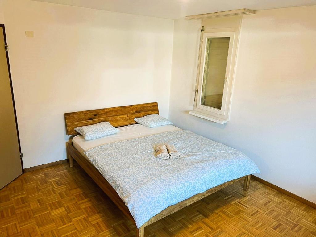 Large Flats, Zurich Lake HWA - Self Checkin - Resim 27