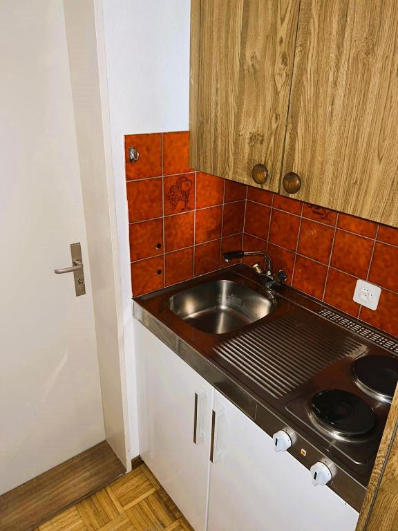 Large Flats, Zurich Lake HWA - Self Checkin - Resim 31