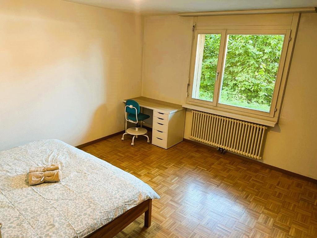 Large Flats, Zurich Lake HWA - Self Checkin - Resim 33