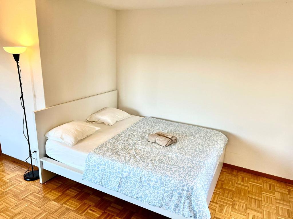 Large Flats, Zurich Lake HWA - Self Checkin - Resim 21