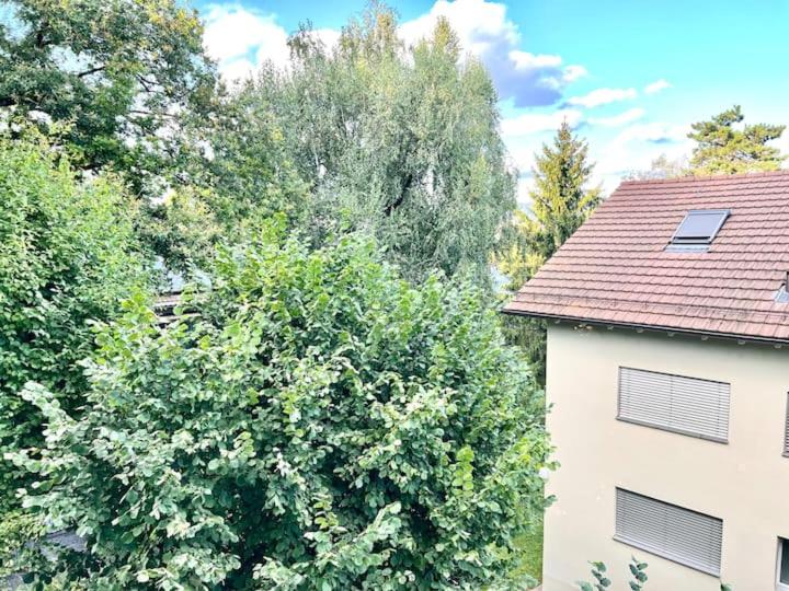 Large Flats, Zurich Lake HWA - Self Checkin - Resim 23