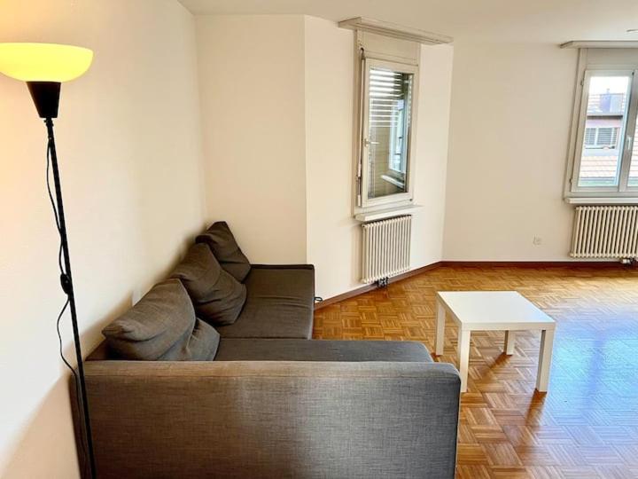 Large Flats, Zurich Lake HWA - Self Checkin - Resim 26