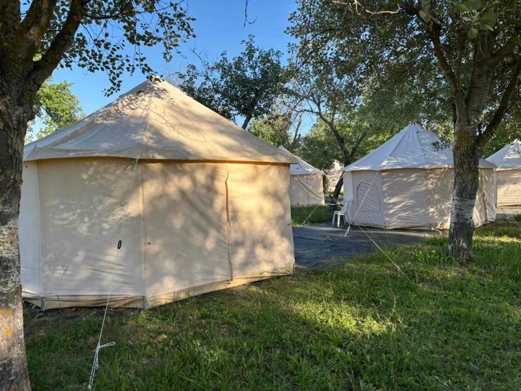 Zahrada ubytování Paliouri Luxury Bungalows