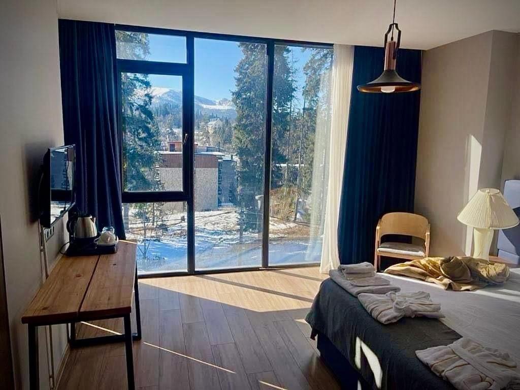 Μια τηλεόραση ή/και κέντρο ψυχαγωγίας στο Flat in Bakuriani forest