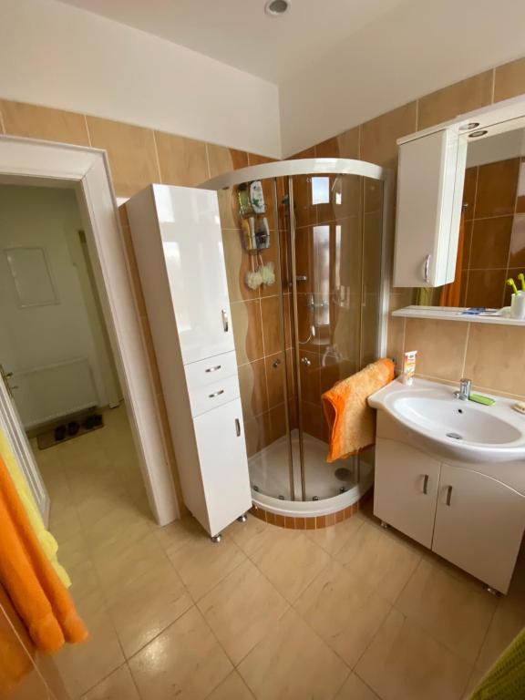 Koupelna v ubytování Apartmán Kumburská - Nová Paka