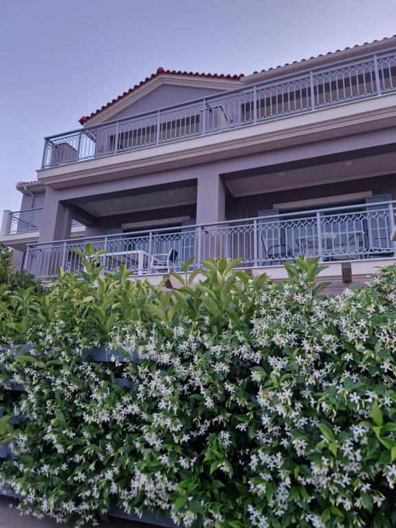 Vonkajšia záhrada v ubytovaní K for Kefalonia