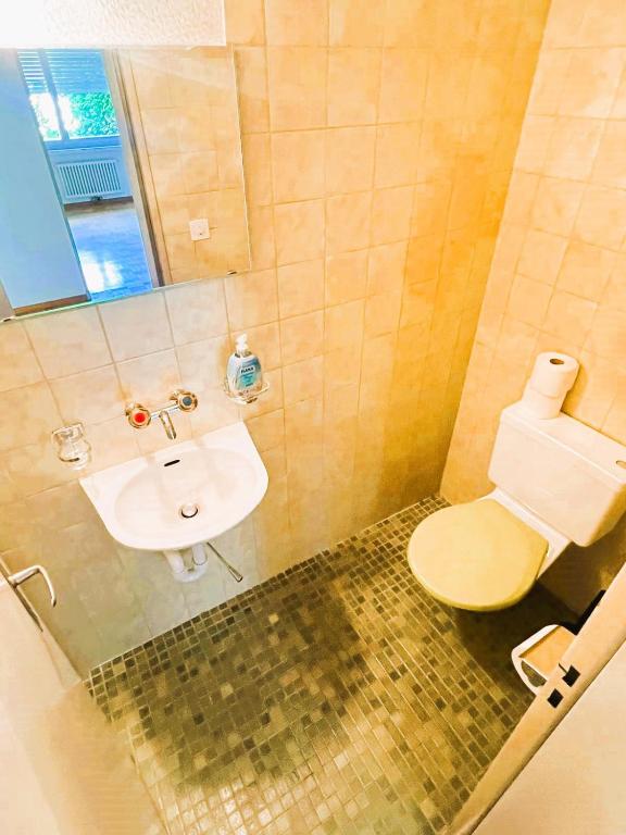 Large Flats, Zurich Lake HWA - Self Checkin - Resim 5