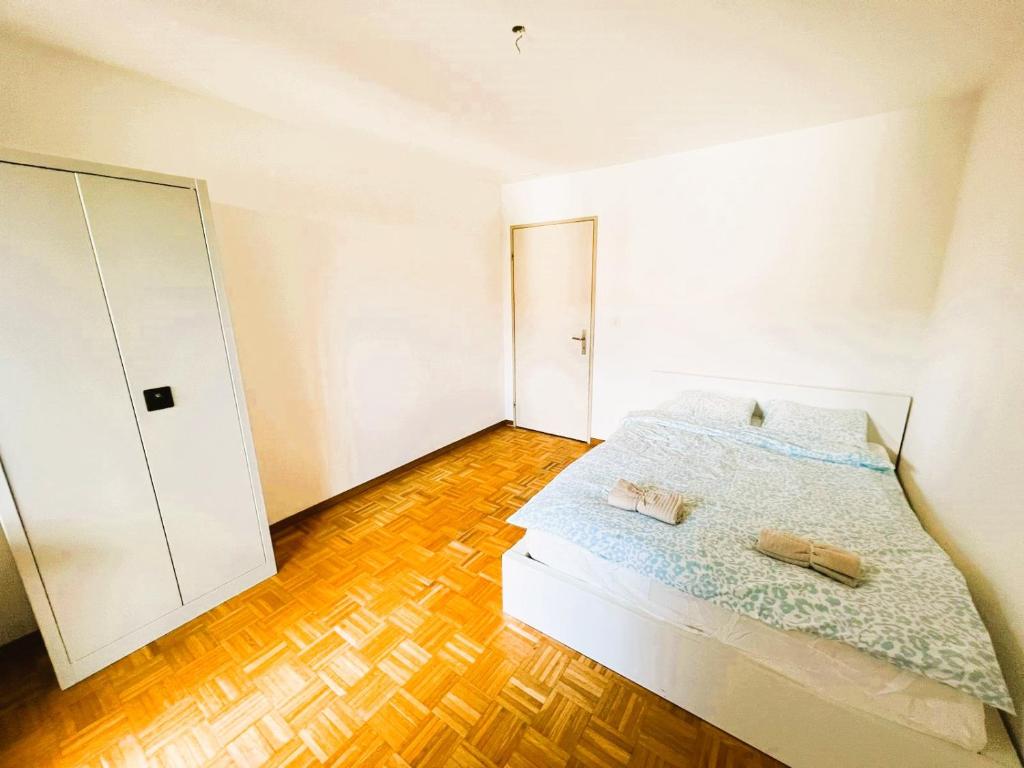 Large Flats, Zurich Lake HWA - Self Checkin - Resim 9