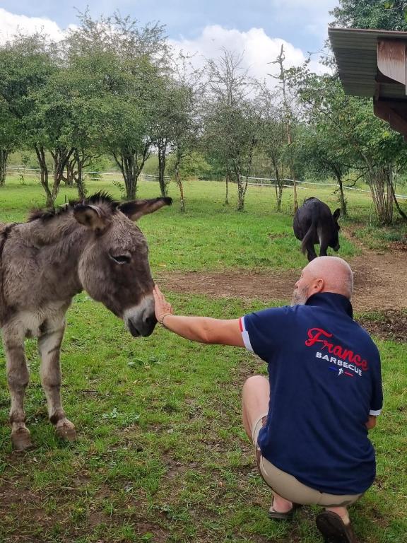 Zvířata v luxury tent nebo okolí