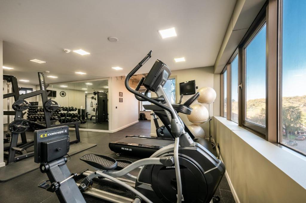A window-lined gym focused on cardio training.