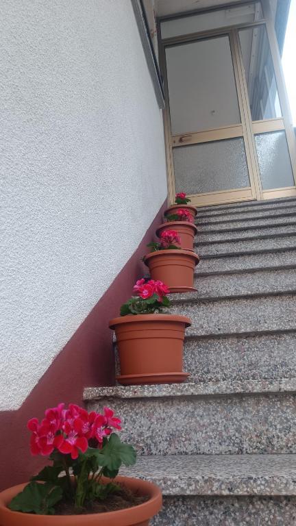 Fotografie z fotogalerie ubytování Apartma Zora v destinaci Bovec