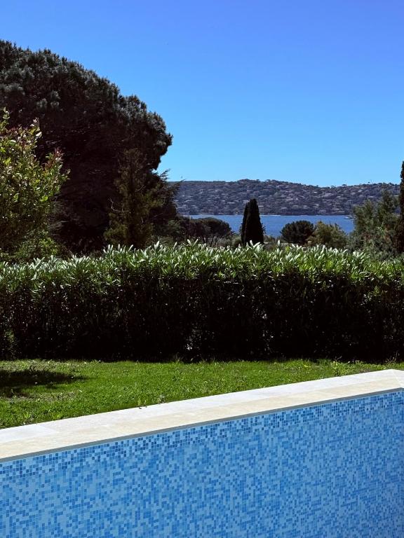 une piscine devant une haie et l'océan dans l'établissement Magnifique villa vue mer avec piscine et plage privée, à Grimaud