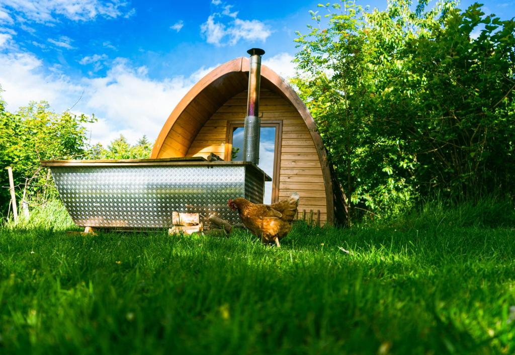 Zahrada ubytování Glenshee Glamping