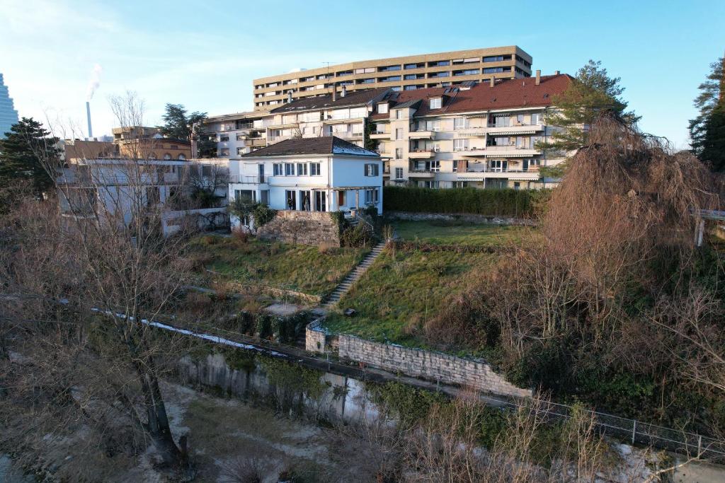 Rhine view - Resim 1