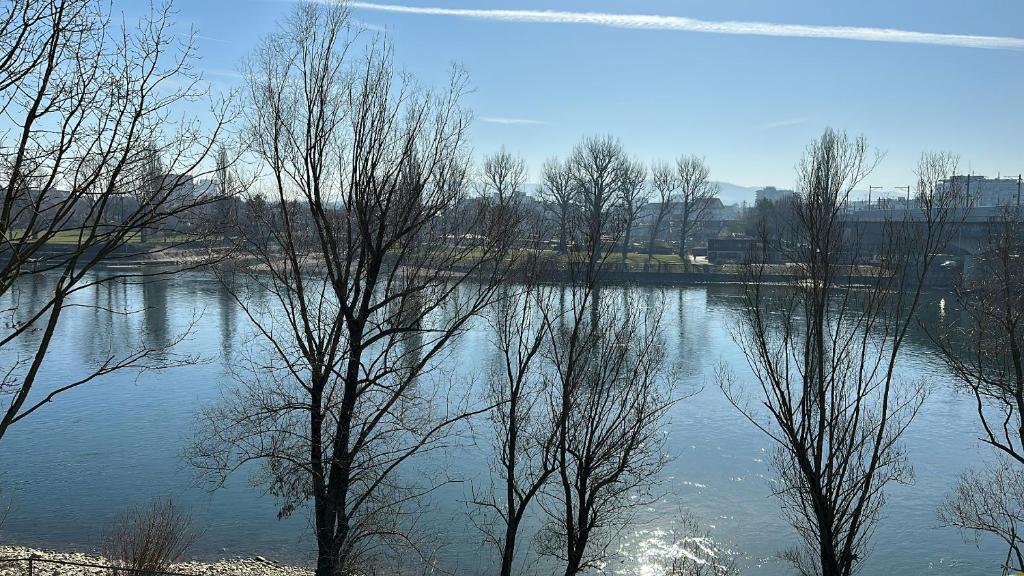 Rhine view - Resim 4