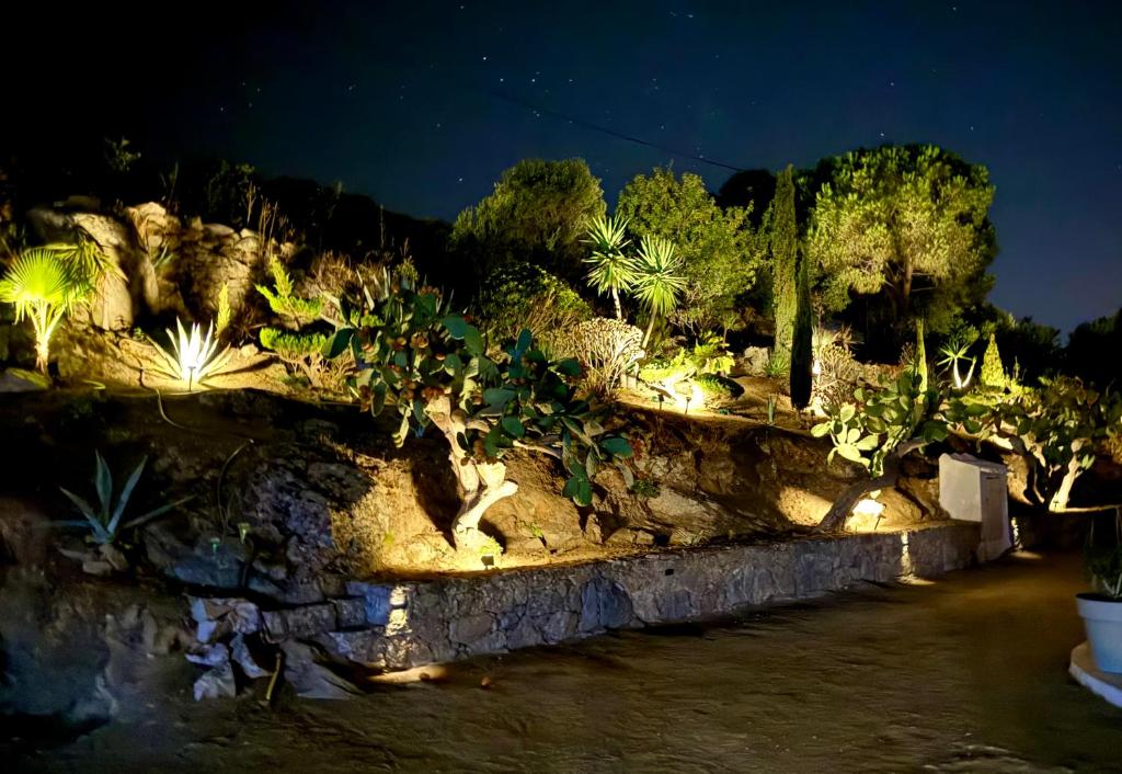 Jardin de l'établissement Lovely place with free parking