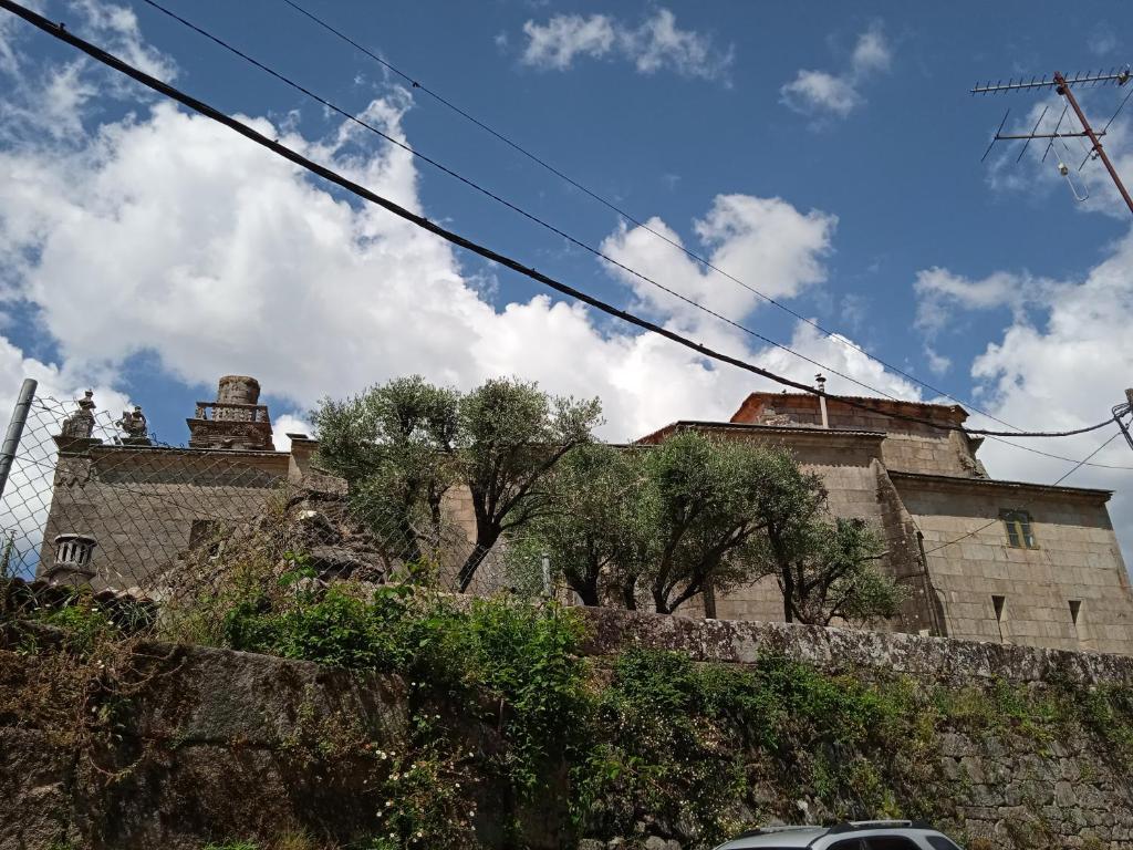 As Mimosas d'Cross - 17