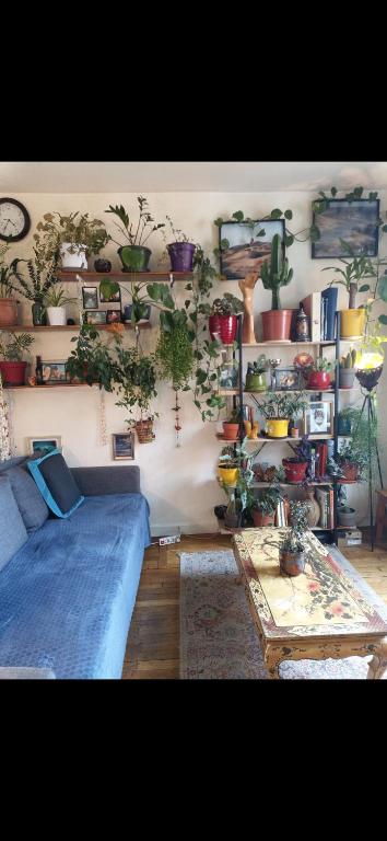 un salon rempli de nombreuses plantes en pot dans l'établissement Charmant 2 pièces à Arcueil Calme, tout équipé RER B, Maison des Examens, à Arcueil