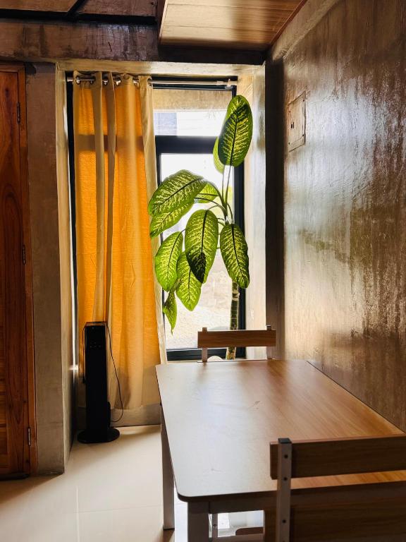 Fotografie z fotogalerie ubytování Loftvibes San Juan v destinaci San Juan