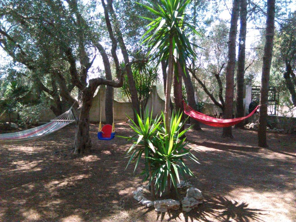2 amache appese agli alberi in un parco di Casa Vacanze La Pineta a Taviano