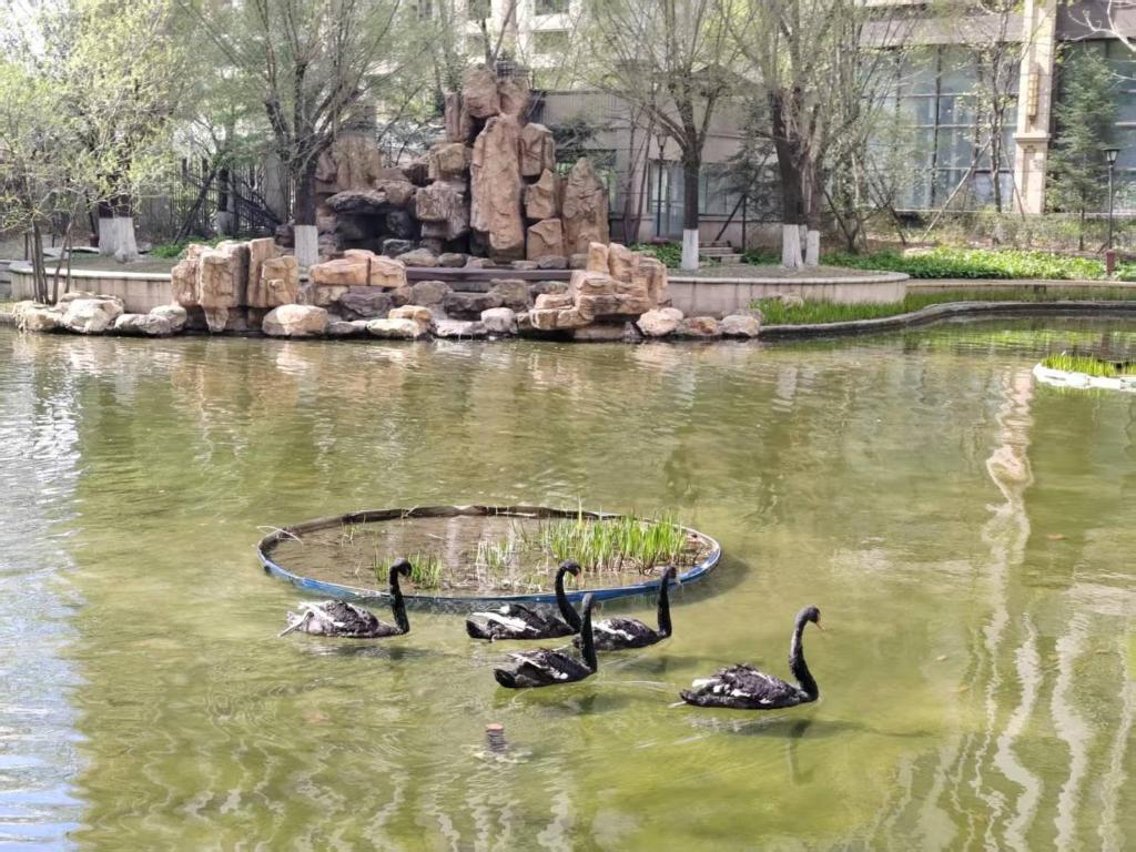 Výhled na řeku, která protéká v blízkosti apartmánu