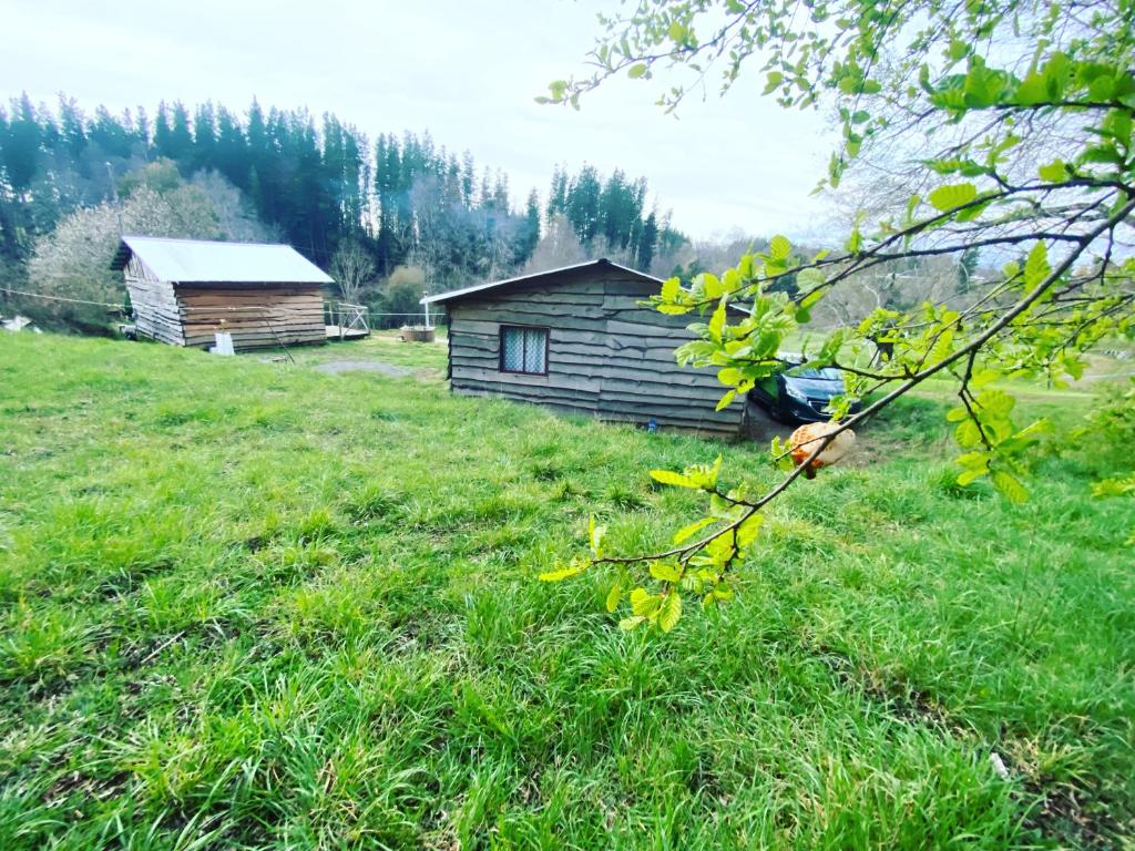Příroda nedaleko kempu